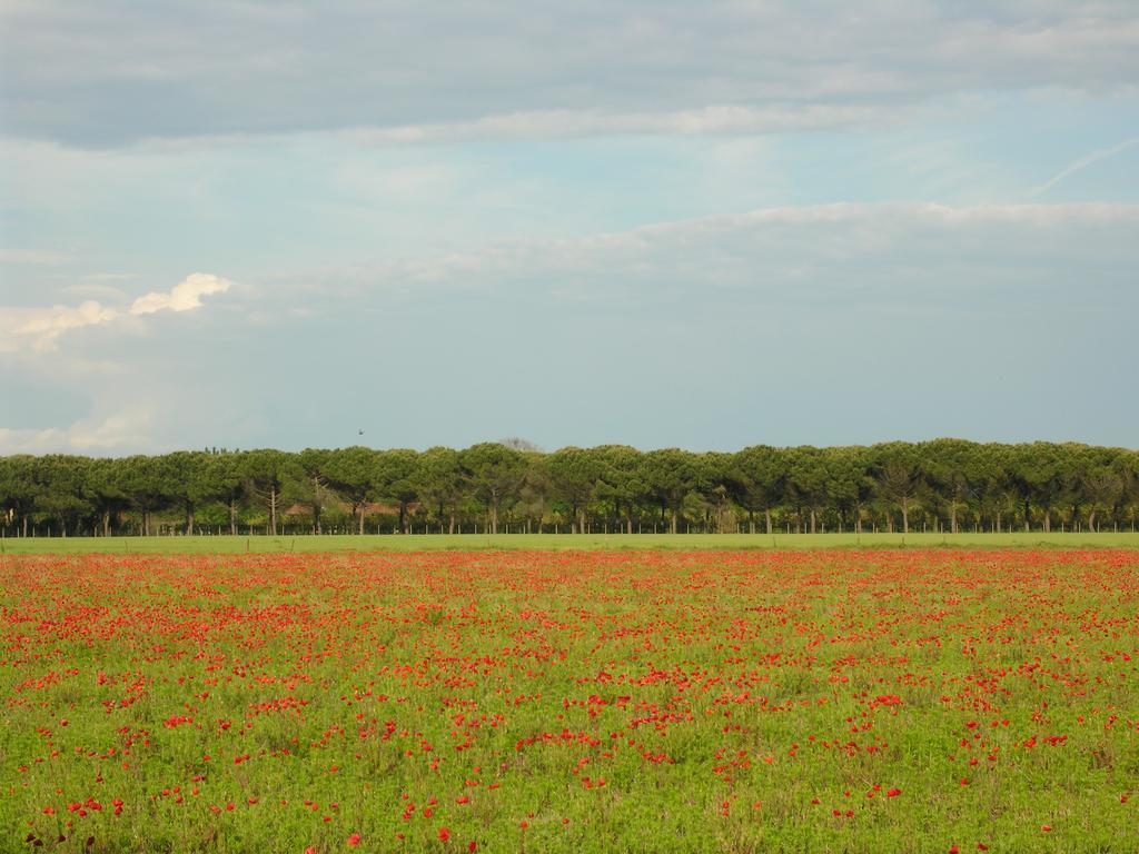 Appartamenti Villaggio San Siro Bibione Eksteriør billede